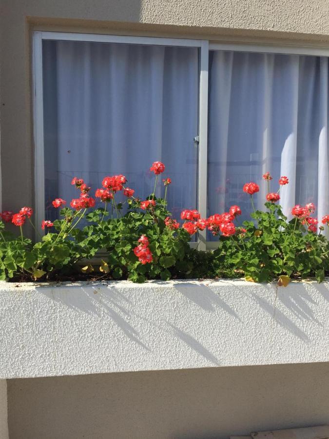 Apto Em Otima Localizacao! Lages Eksteriør billede